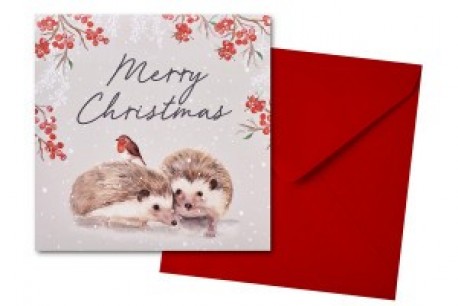Merry Christmas Hedgehog Card