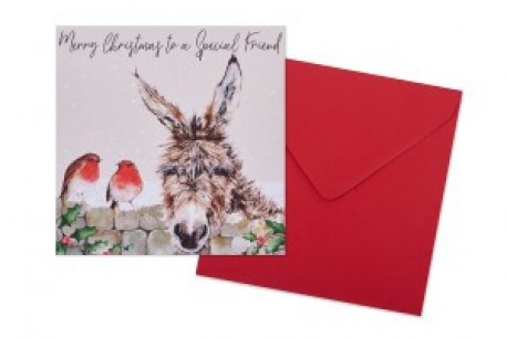 Donkey and Robin Special Friend Card