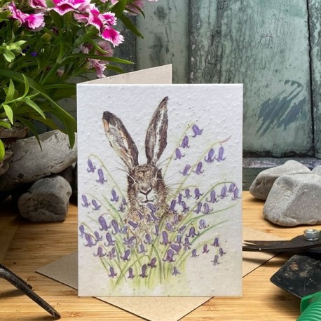 Hare and Bluebell Plantable Seed Cards