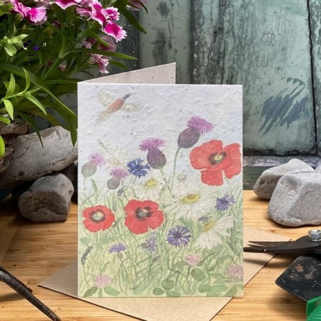 Poppy Meadow Plantable Seed Card